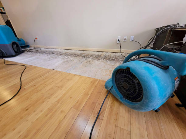 Professional Water Damage Repair technician working in Homeland, GA